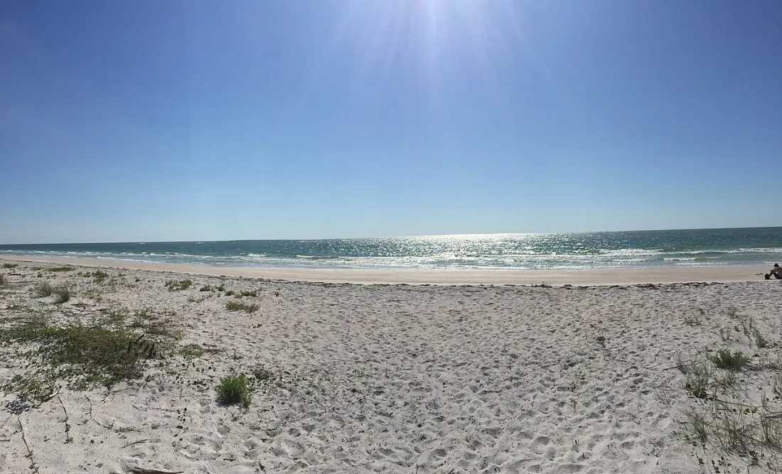 Caladesi Island State Park, Dunedin